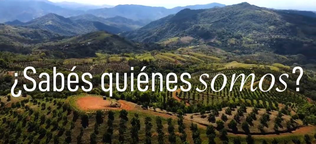 ¿Sabes quiénes somos?
